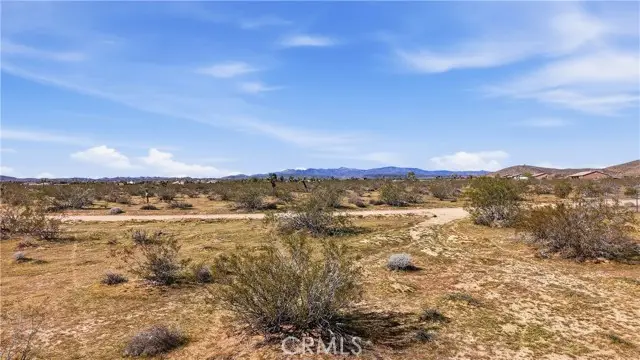 0 Lynwood Drive, Joshua Tree, CA 92252 - #3