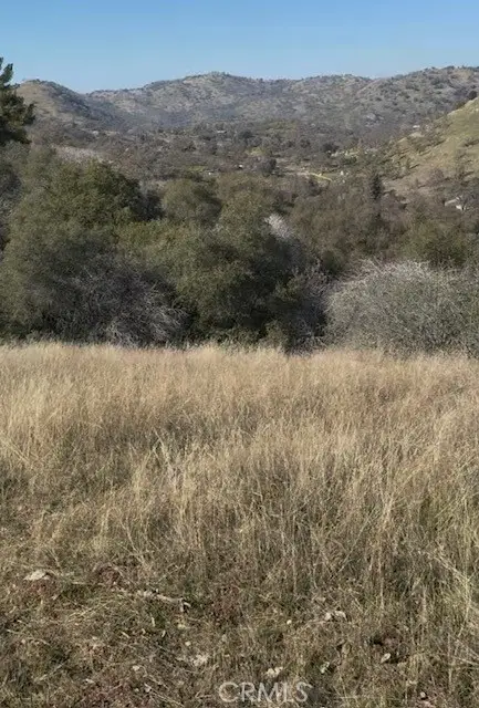 0 Chuckwagon Road, Squaw Valley, CA 93675 - #2