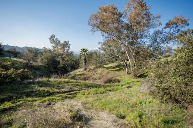 0 McNally Road, Valley Center, CA 92082 - #2