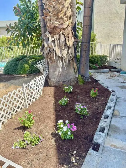 20920 COMMUNITY Street  #7, Canoga Park, CA 91304 - Image #3