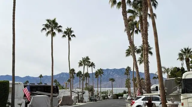 69411 Ramon Rd #91, Cathedral City, CA 92234 - #3