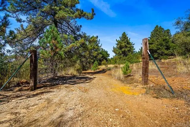 120 Vacant Land Mesa Grande Road, Santa Ysabel, CA 92070 - #3