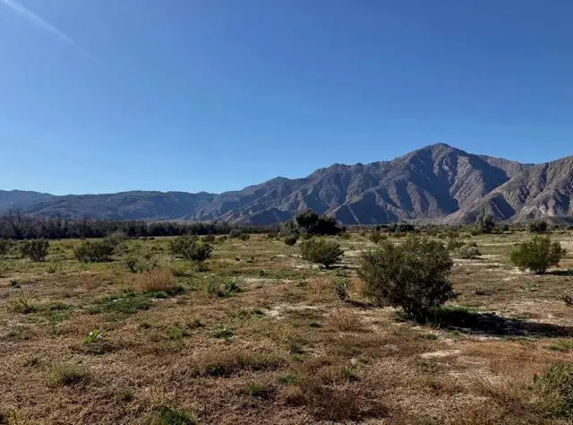 Borrego Springs Road, Borrego Springs, CA 92004 - #1