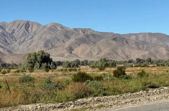 Borrego Springs Road, Borrego Springs, CA 92004 - #3