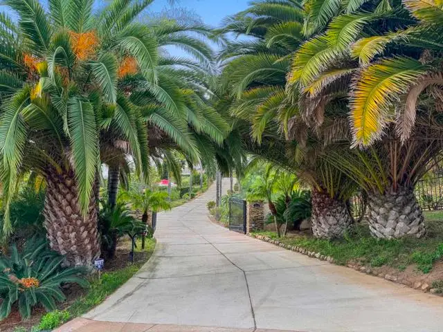 3611 Monserate Hill Court, Fallbrook, CA 92028 - #2