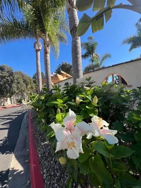 4241 Loma Riviera Lane, San Diego, CA 92110 - #2