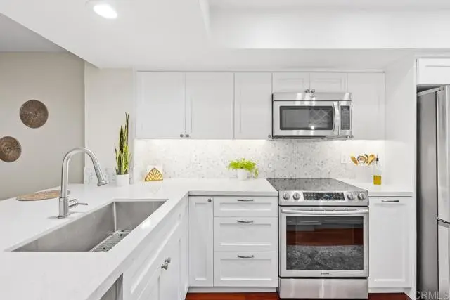 853 America Way, Del Mar, CA 92014 - #3