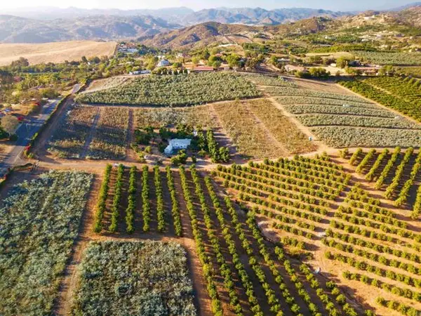 31817 Via Ararat Drive, Bonsall, CA 92003