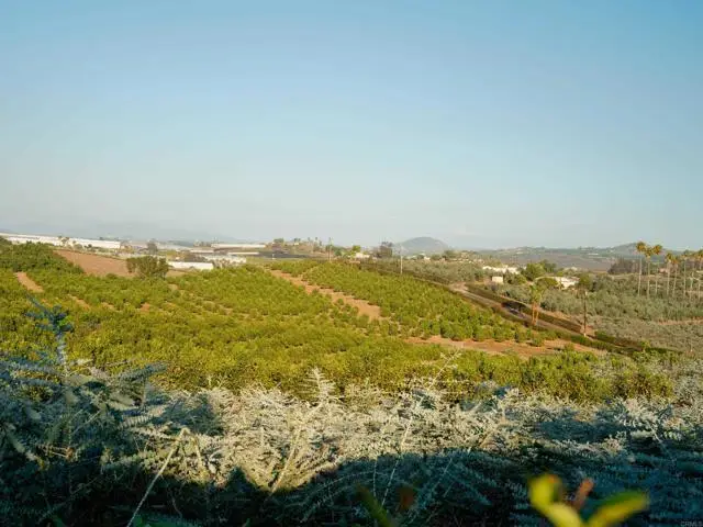31817 Via Ararat Drive, Bonsall, CA 92003 - #3