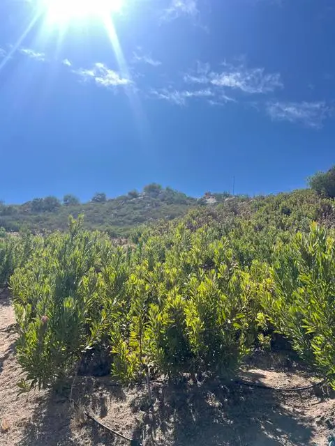 26336 Lake Wohlford Road, Valley Center, CA 92082 - #1