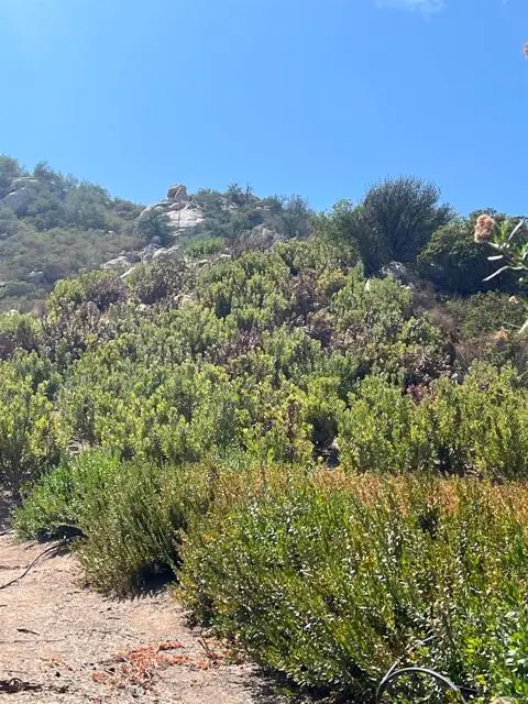 26336 Lake Wohlford Road, Valley Center, CA 92082 - #3