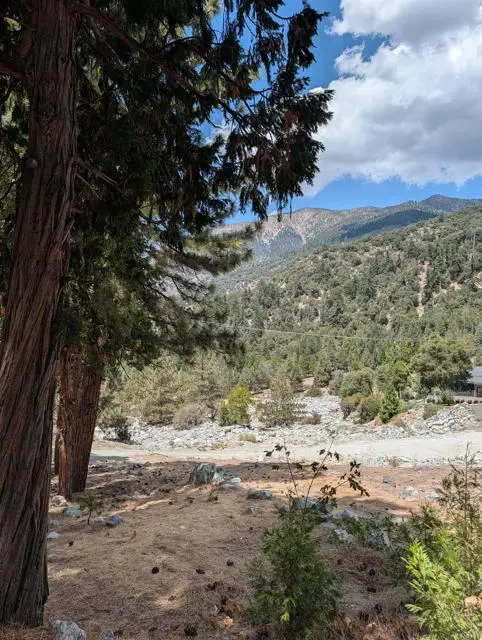 0 island dr, Forest Falls, CA 92339 - #2