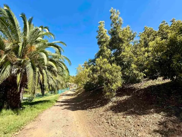 3160 Slivkoff Drive, Escondido, CA 92027 - #3