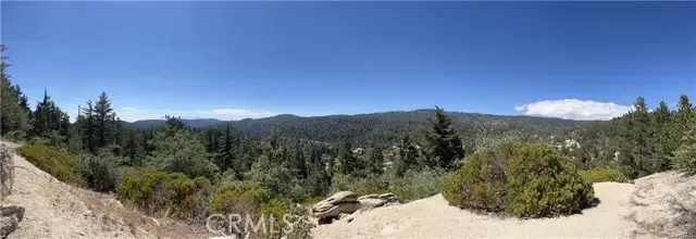 1 Crest Drive, Running Springs, CA 92382 - #2