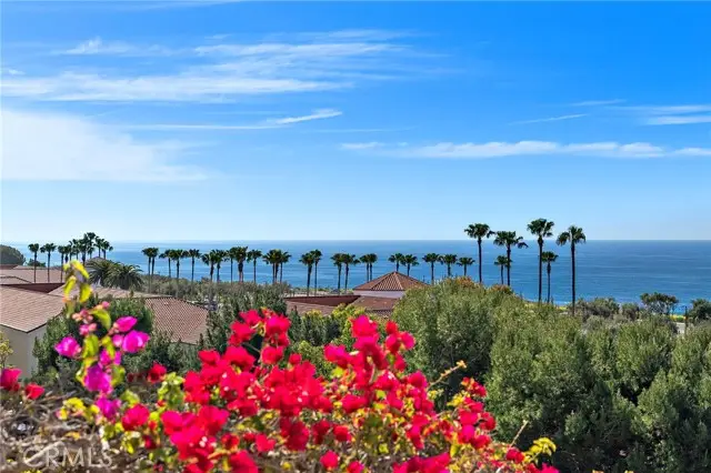 20 Sidra, Newport Coast, CA 92657 - #1