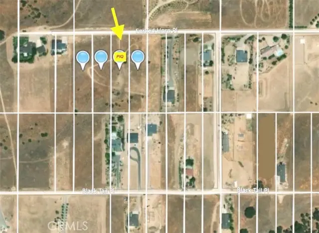 5920 Forked Horn Place, Paso Robles, CA 93446 - #3