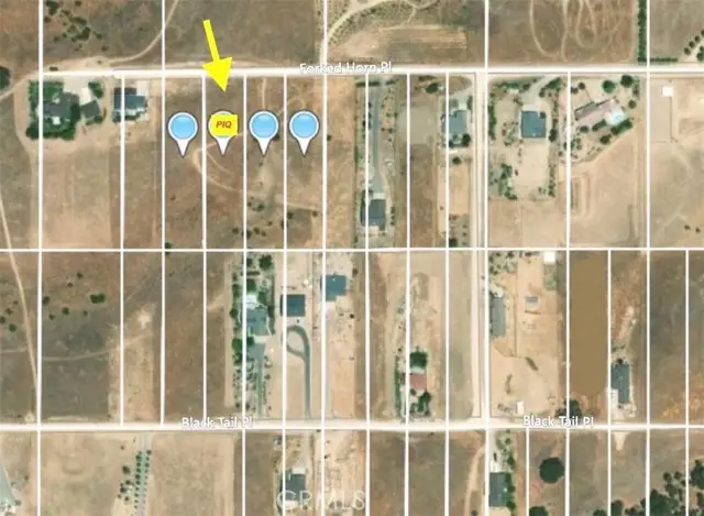 5930 Forked Horn Place, Paso Robles, CA 93446 - #3