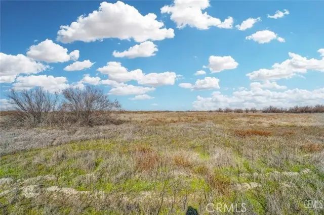 11484 Corcoran Road, Wasco, CA 93280 - #2