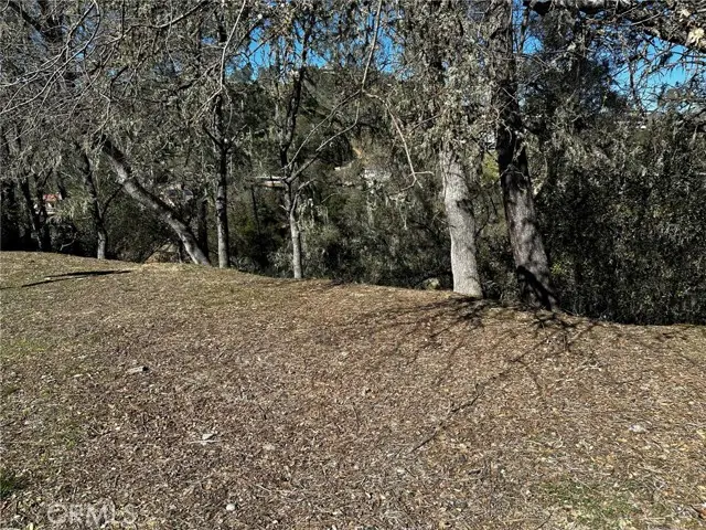 8209 Woody Point Lane, Bradley, CA 93426 - #1