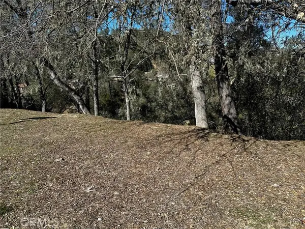 8209 Woody Point Lane, Bradley, CA 93426