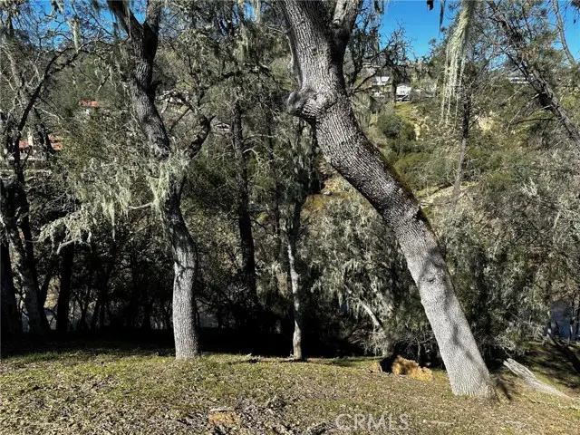 8209 Woody Point Lane, Bradley, CA 93426 - #3