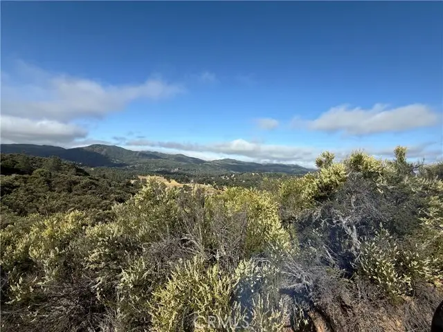 76386 Bryson Hesperia Road, Bradley, CA 93426 - #3