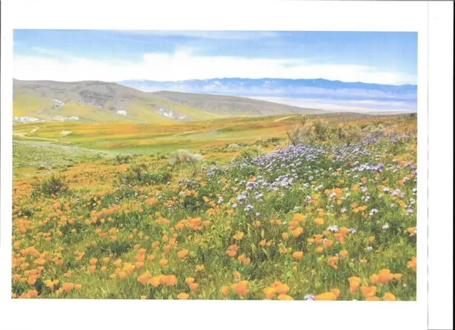 0 Cooperstown Rd, Santa Margarita, CA 93453 - #1