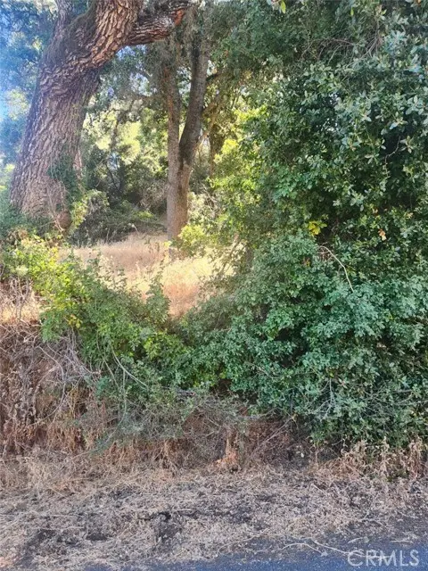 4010 Foothill, Lucerne, CA 95458 - #2