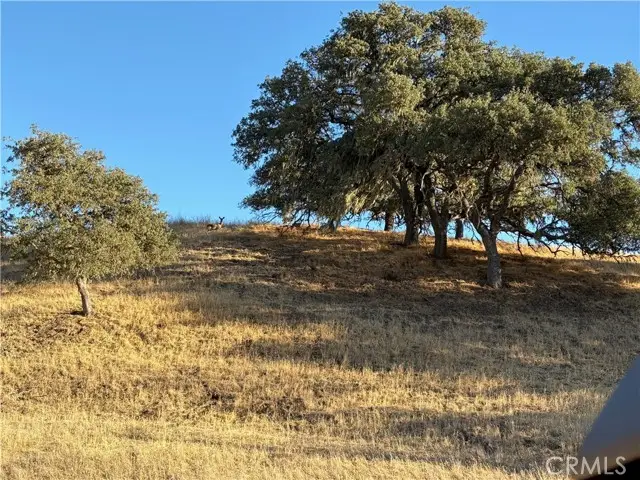 2495 Maverick Way, Paso Robles, CA 93446 - Image #2