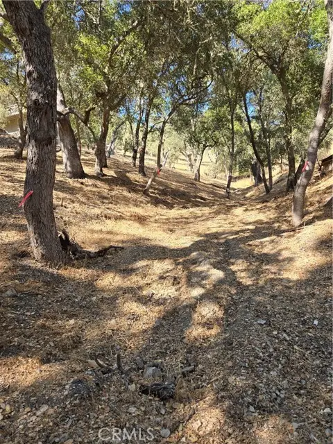 6525 Navarette Avenue, Atascadero, CA 93422 - #2