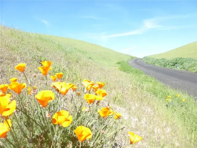 0 Douglas Rd. (Lots 28, 33 & 34), San Miguel, CA 93451 - #1