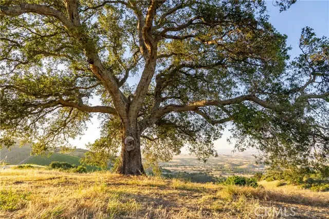 2762 Adelaida Road, Paso Robles, CA 93446 - #1