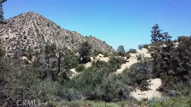 0 Desert Front, Pinon Hills, CA 92372 - #1