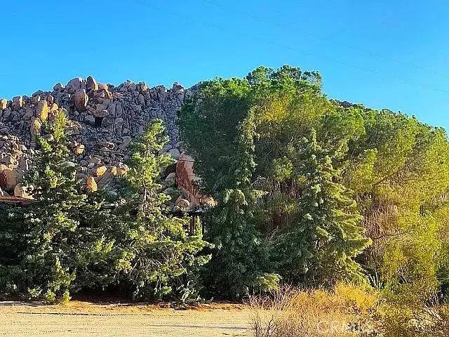66058 Foothill Drive, Joshua Tree, CA 92252 - #2