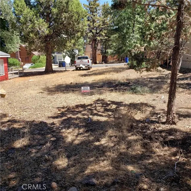 864 San Bernardino Avenue, Sugarloaf, CA 92386 - #3