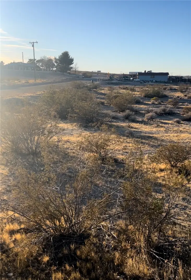 0 Lot 82 Sec 11  TP 9N R 2W EX MIN RT S, Barstow, CA 92311 - #2