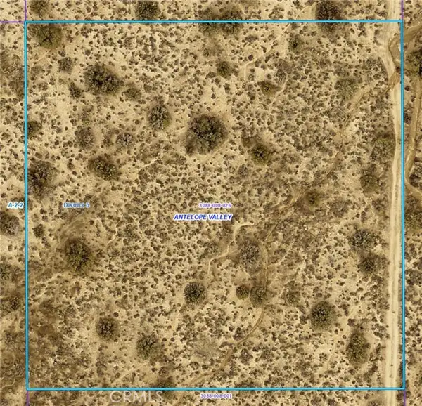 258 Avenue X, Llano, CA 93544