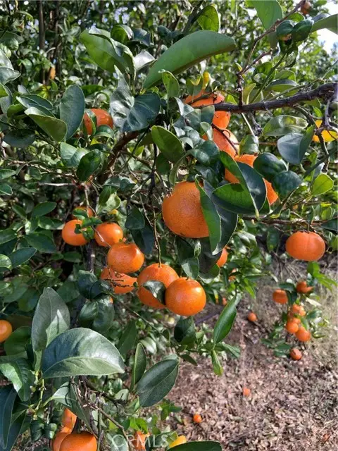 45860 Calle Cuero, Temecula, CA 92590 - #1