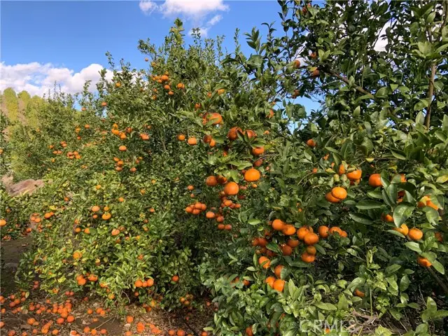 45860 Calle Cuero, Temecula, CA 92590 - #2