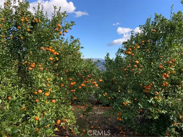 45860 Calle Cuero, Temecula, CA 92590 - #3