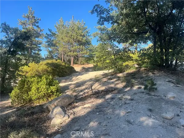 0 Deer Lick Drive, Running Springs, CA 92382