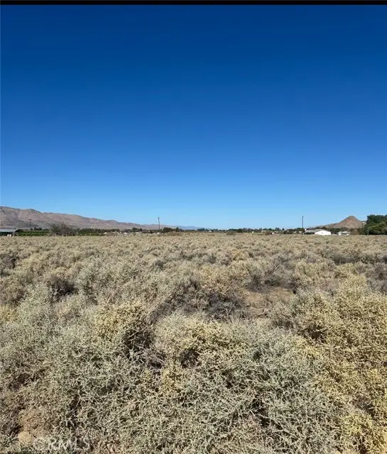 0 Mesquite Springs, Twentynine Palms, CA 92277 - #1