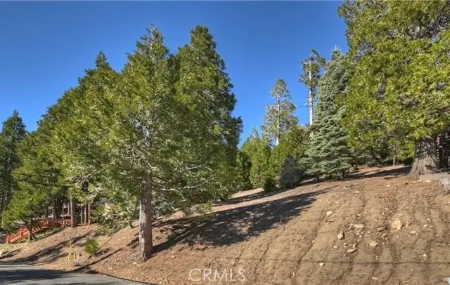 2402 Spring Oak Drive, Running Springs, CA 92382 - #3