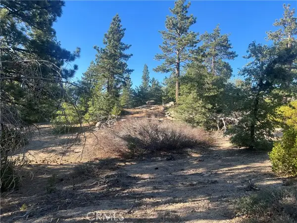 45 Deep Creek Drive, Running Springs, CA 92382