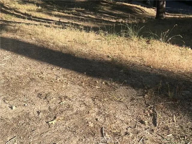 22 Deer Lick Drive, Running Springs, CA 92382 - #1