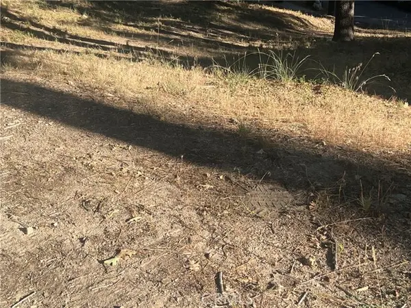 22 Deer Lick Drive, Running Springs, CA 92382