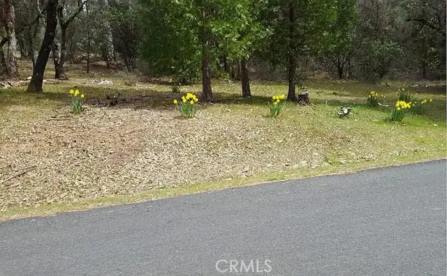 13279 Thoroughbred Loop, Grass Valley, CA 95949 - Image #2