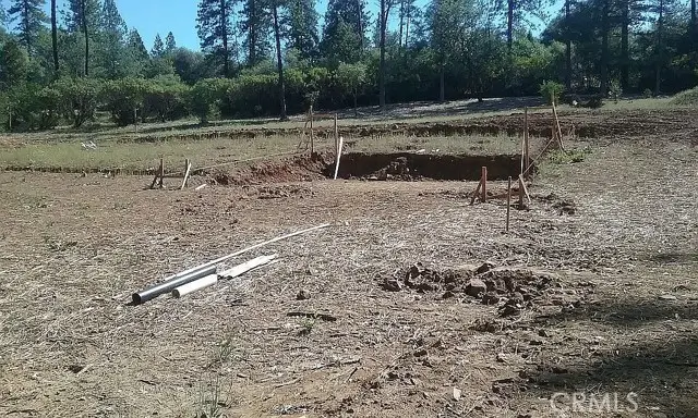 13279 Thoroughbred Loop, Grass Valley, CA 95949 - Image #3