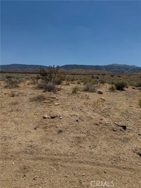 226 Vac/Cor Avenue, Llano, CA 93544 - #1