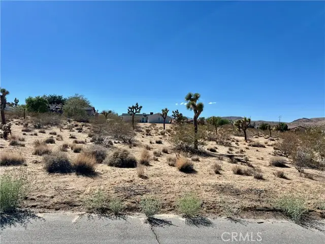 0 Sunny Vista Road, Joshua Tree, CA 92252 - #1